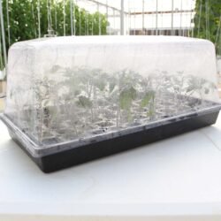 7-inch-humidity-dome