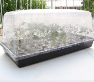 Humidity Dome 10"x20"