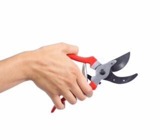 Trimming Scissors