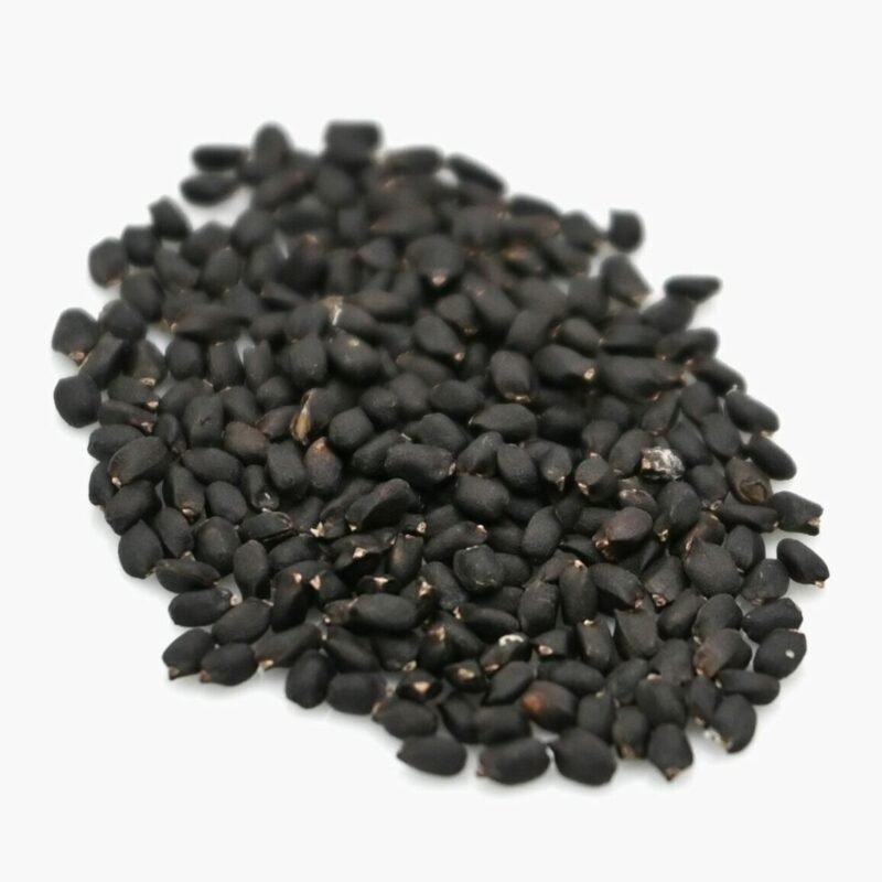 Genovese Basil Seeds