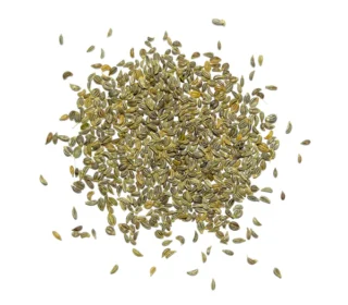 Italian Flat Leaf Parsley Seeds